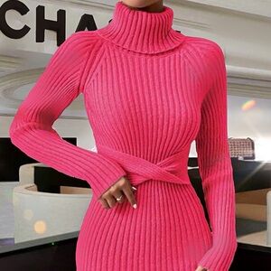 NWT,  Lavishly Paris Vibrant Pink Turtleneck Sweater Dress.